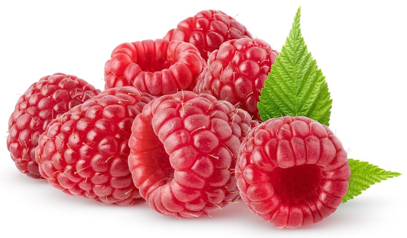 Halbmayrs Himbeeren