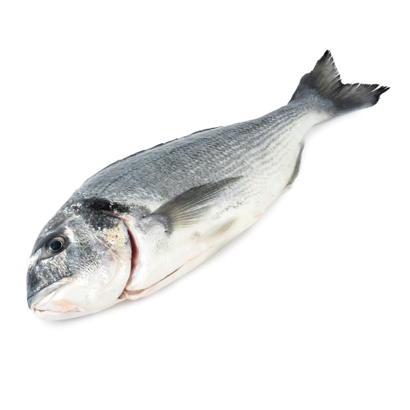 FJORU BIO Dorade im Ganzen