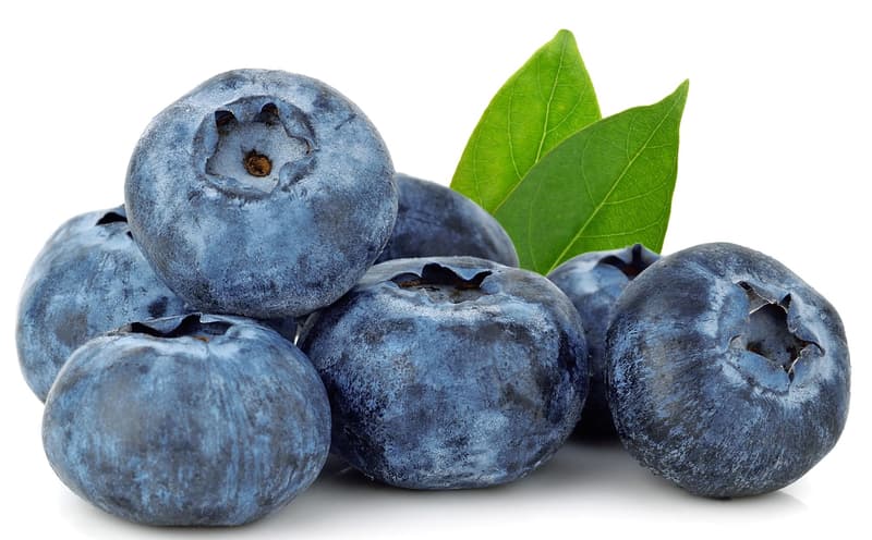 Sonnenobst Habeler Heidelbeeren