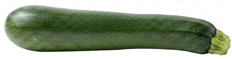 BIO Zucchini XXL