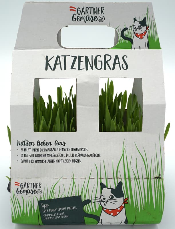 frisches Katzengras