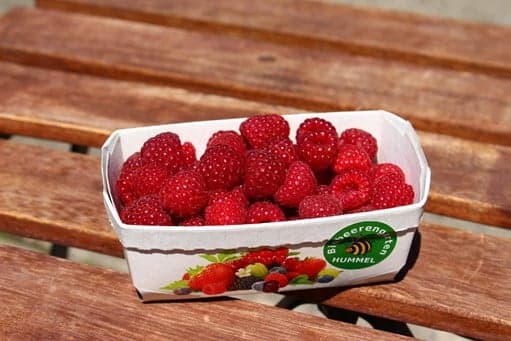 Biobeerengarten Hummel BIO Himbeeren
