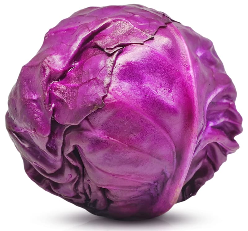 BIO Rotkraut