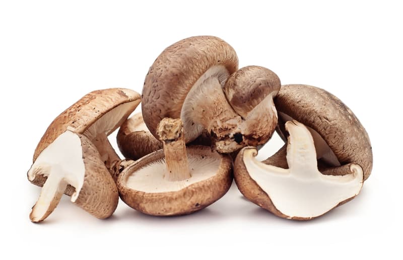 Hut & Stiel BIO Shiitake Pilze