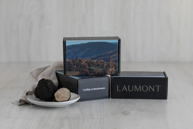 Premium schwarzer Sommertrüffel