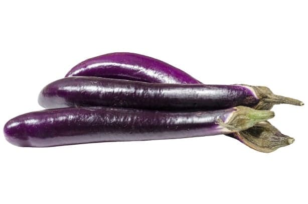 Schlangenmelanzani