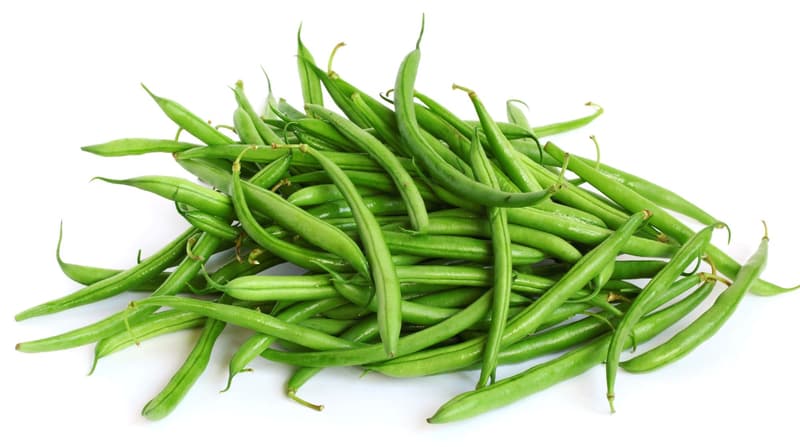 Fisolen
