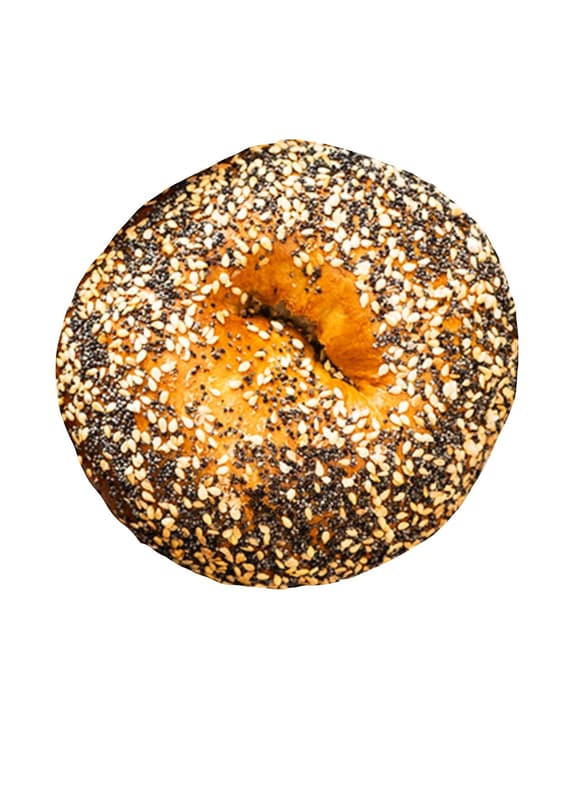 Budapest Bagel Vienna All Everything Bagel