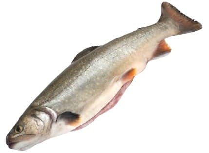Mariazeller Alpenfisch BIO brook trout whole