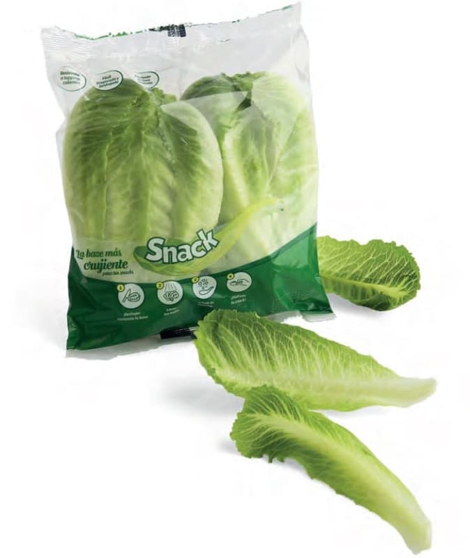 Snack Salad
