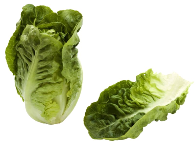 Snack Salad