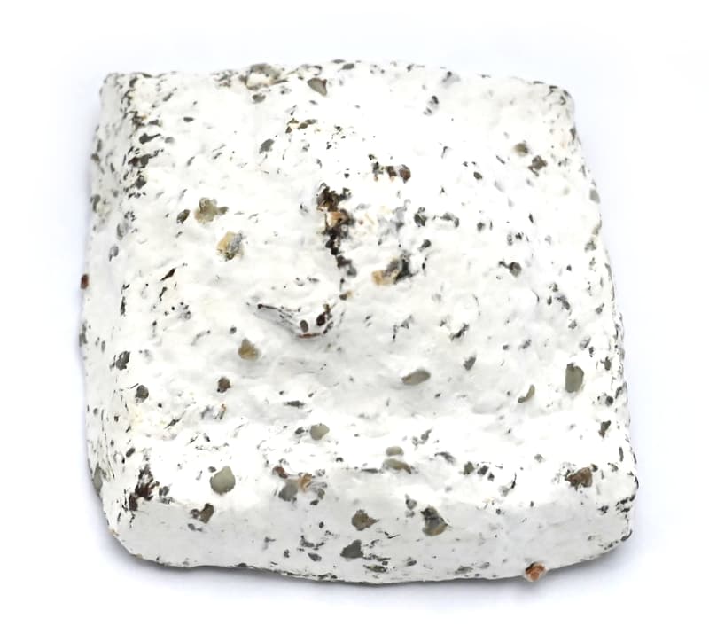 French Salami Carre au Camembert