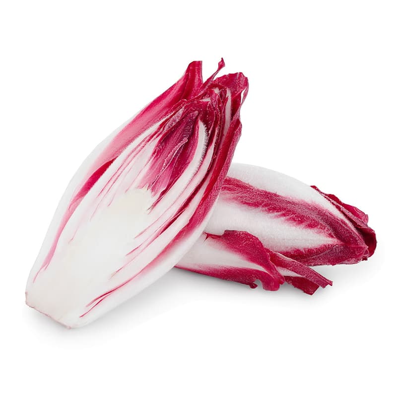 Chicorée rot