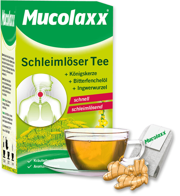 Mucolaxx® Schleimlöser Tee – für Erwachsene