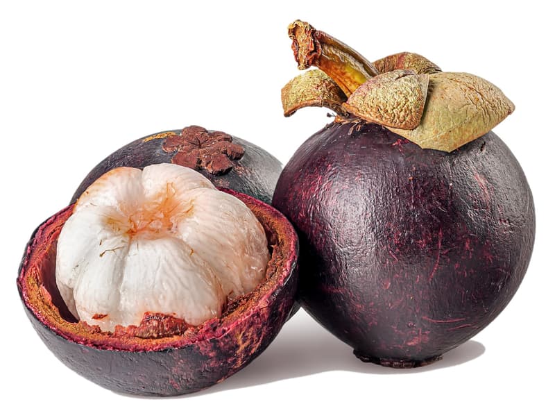 Mangostan