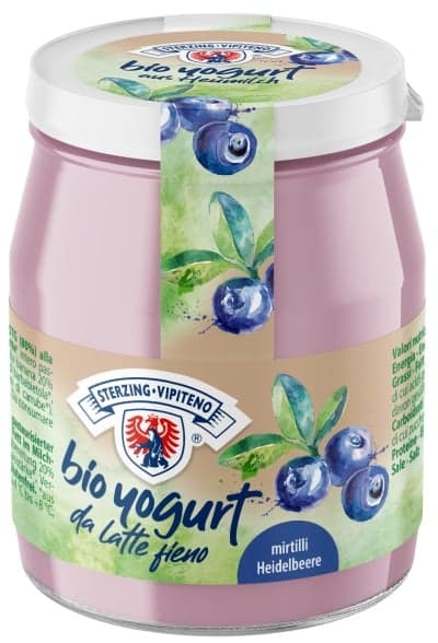 Sterzinger BIO yoghurt in a jar blueberry