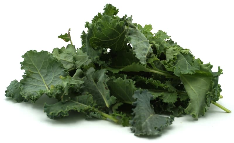 Baby Kale - Grünkohl