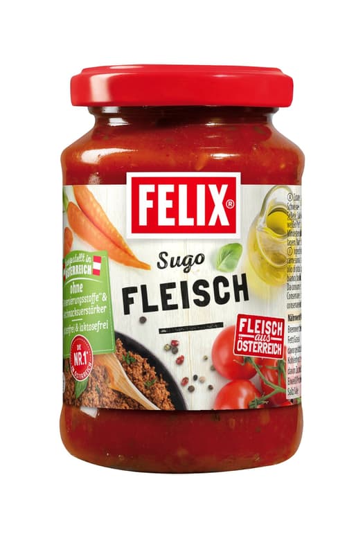 Felix Sugo Fleisch