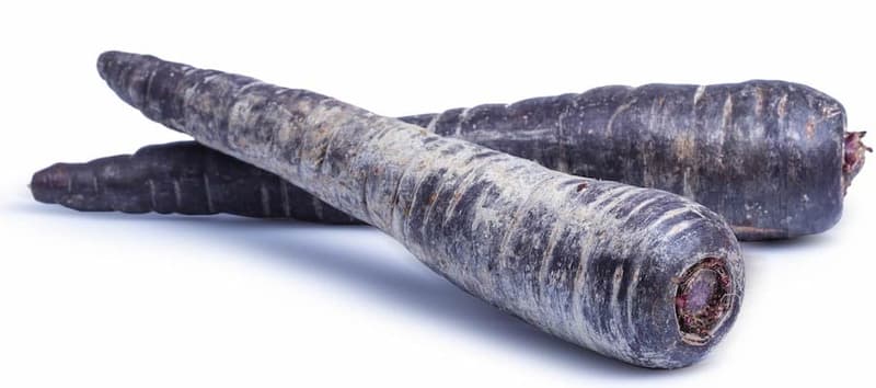 BIO Karotten violett
