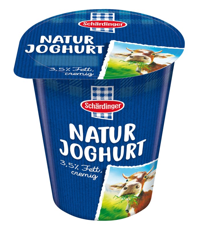 Schärdinger Naturjoghurt 3,5% XL