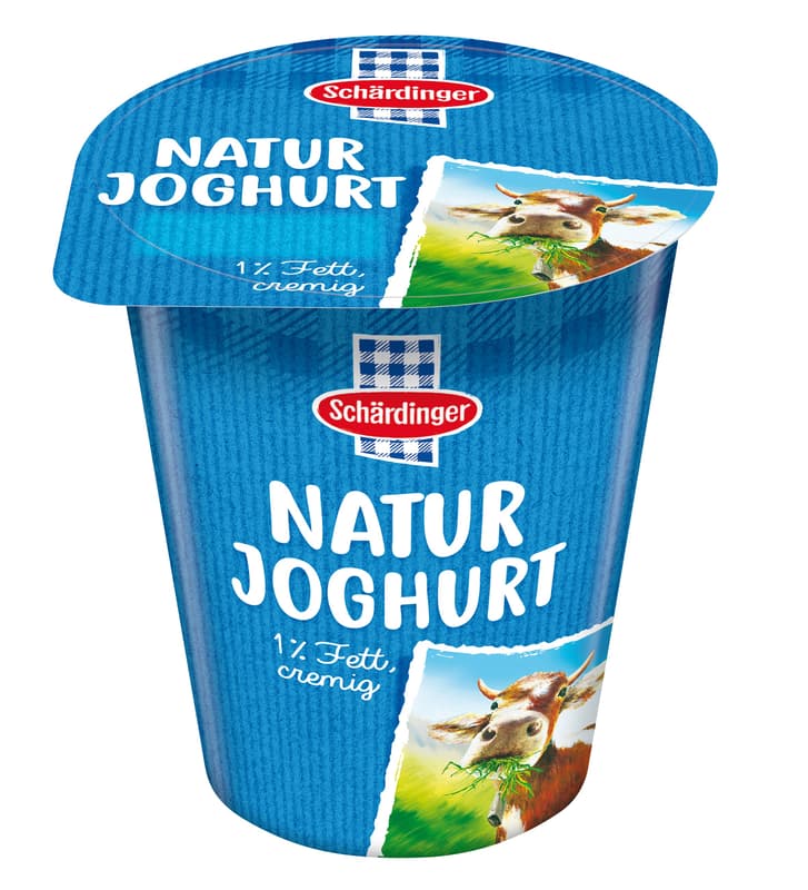 Schärdinger Naturjoghurt 1% leicht XL