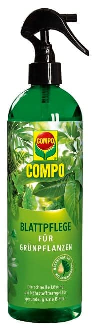 COMPO Blattpflege für Grünpflanzen