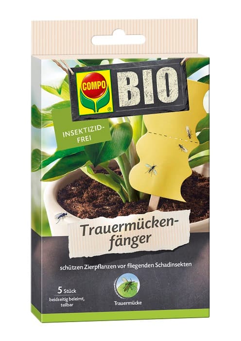 COMPO Trauermückenfänger 5 Stk. BIO