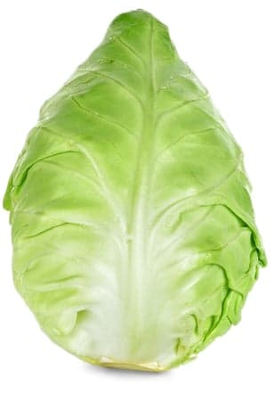 BIO Spitzkraut