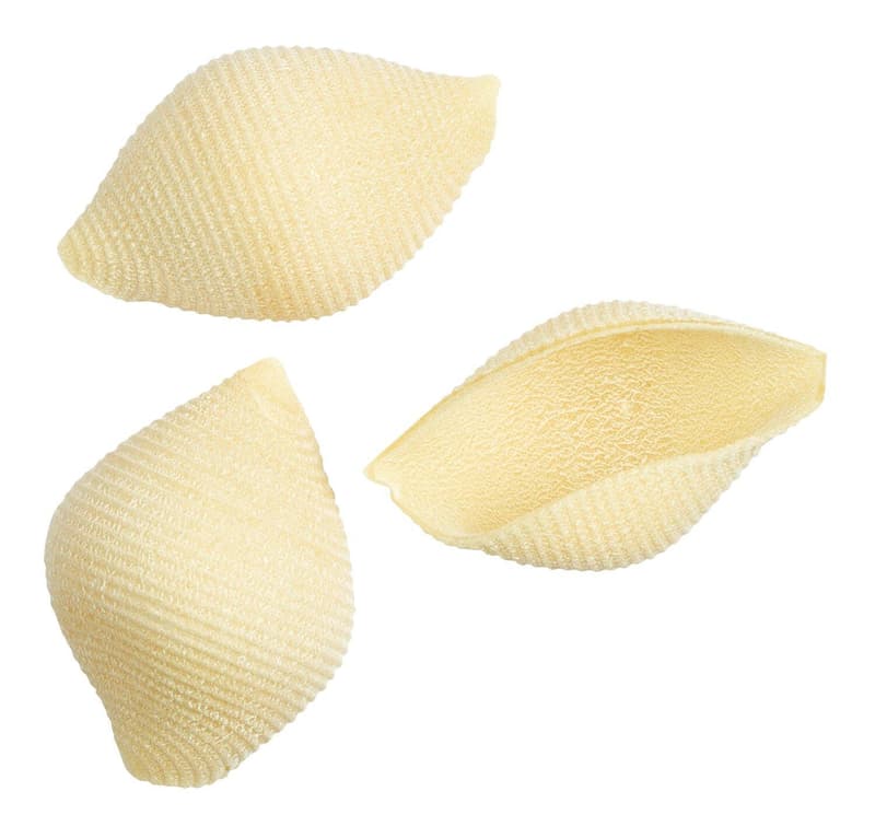 Faella Conchiglioni IGP