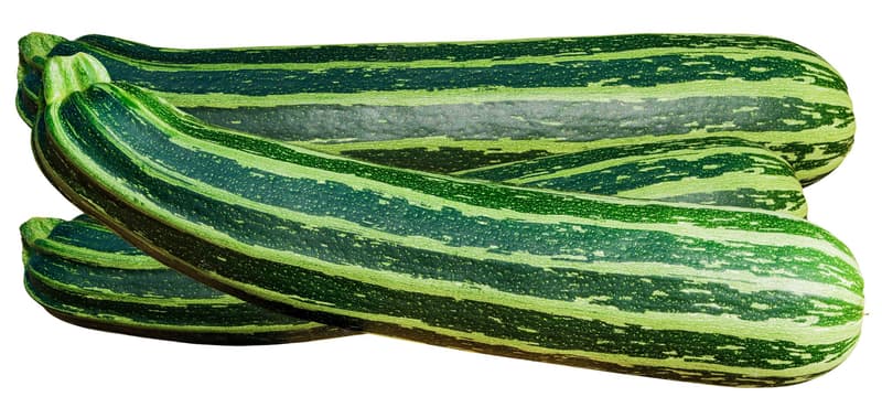Bio Zucchini gestreift "Costata Romanesco