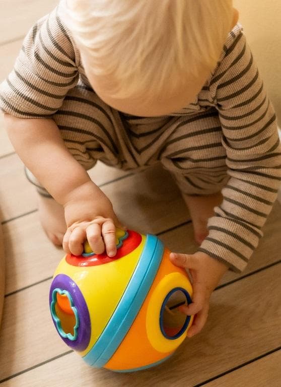 Scandinavian Baby Products Steckspiel: Ball