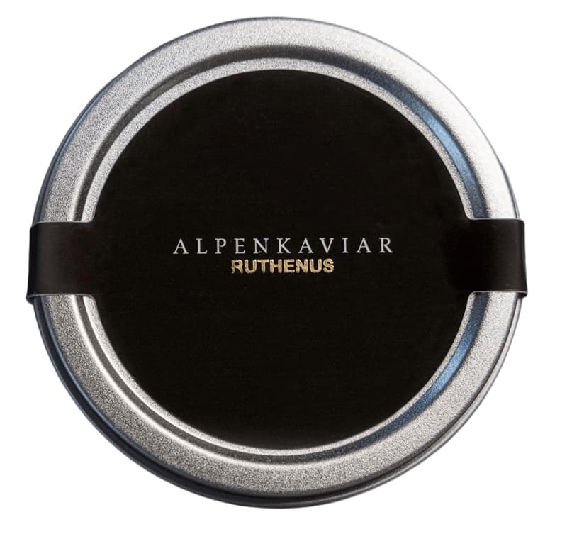 Alpine caviar Ruthenus caviar