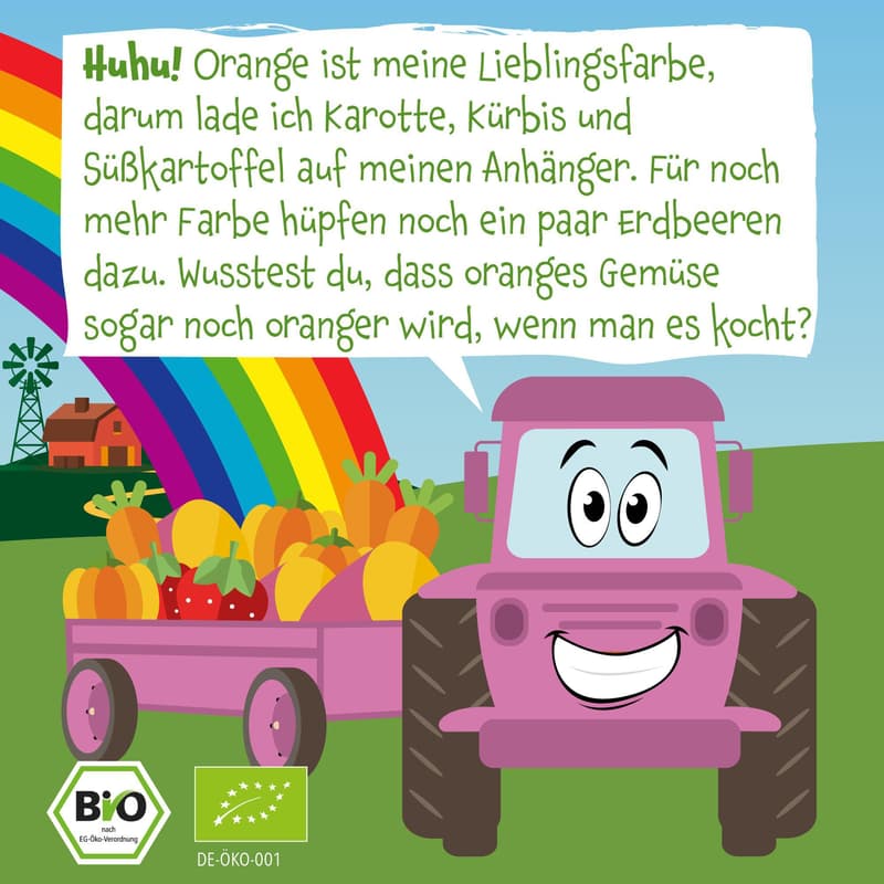 Pumpkin Organics BIO Gemüsepüree mit Süßkartoffel Kürbis Erdbeere Banane ab 6. Monat, 100 g