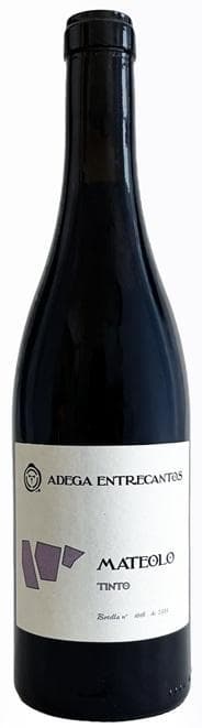 Domaine Roberto Rodriguez Mateolo Tinto 2023