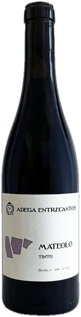 Domaine Roberto Rodriguez Mateolo Tinto 2023