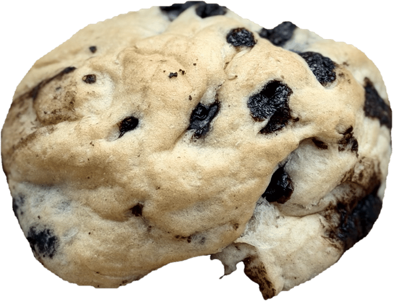 Gradwohl Schoko Bun