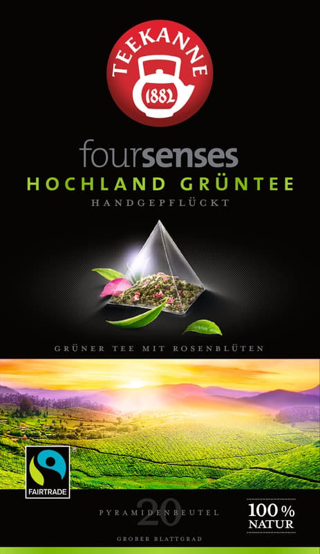 Teekanne Foursenses Hochland Grüntee Teebeutel