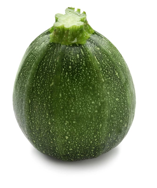 BIO Zucchini rund