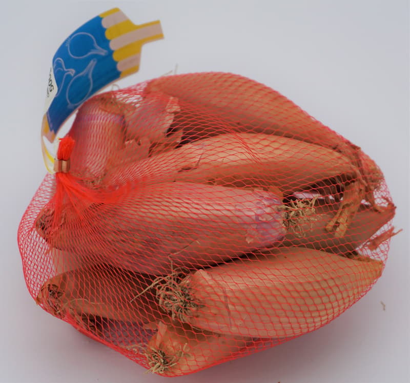 Schalotten im Netz