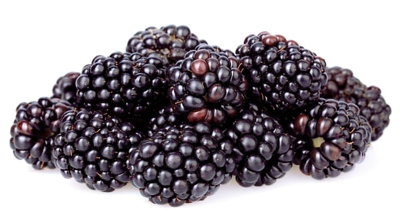Blackberries