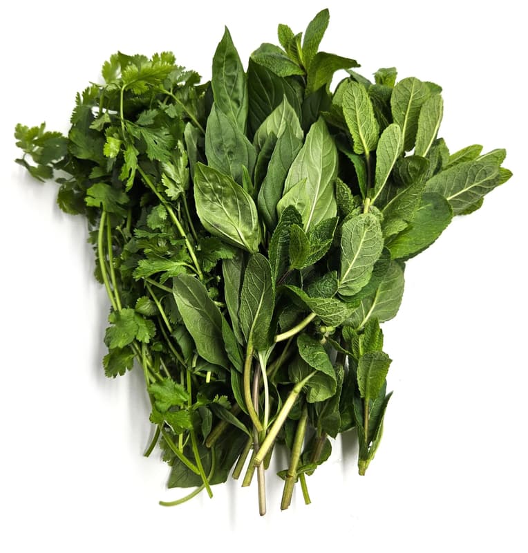 Altschachl Cocktail Herbs: Rosemary, Mint, Thyme