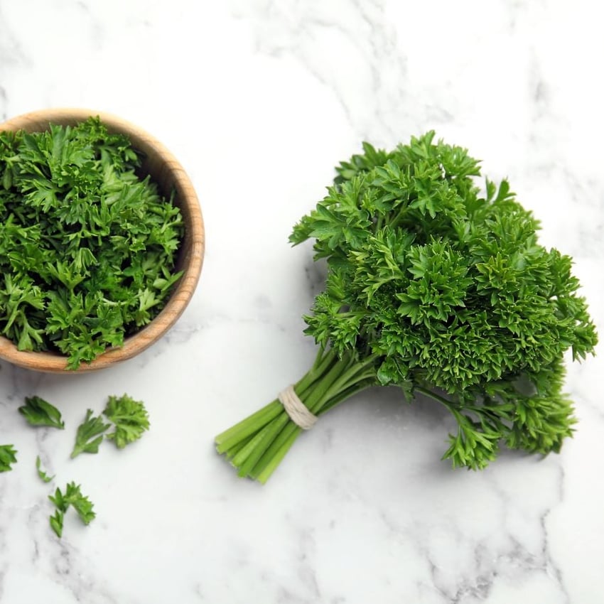 WIR LEBEN FRISCHE...