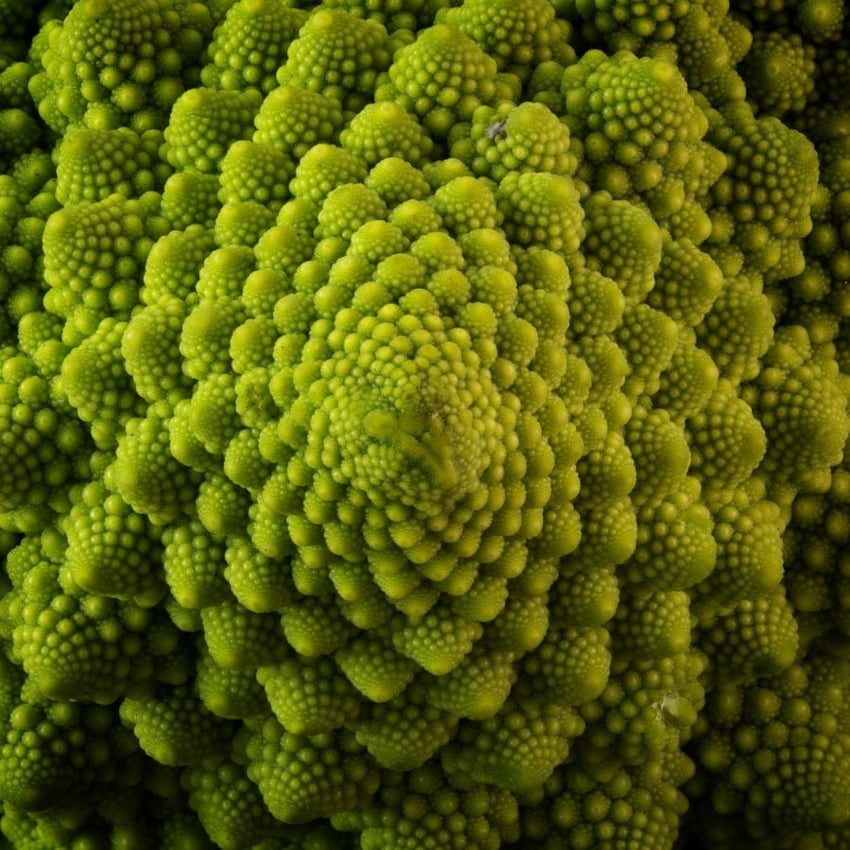 Brokkoli oder doch Romanesco?